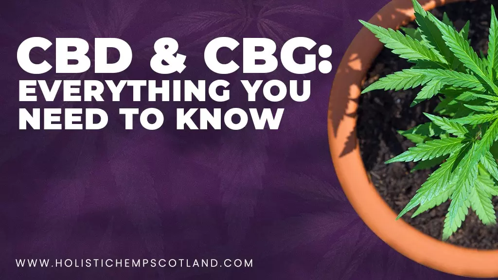 CBG & CBD: Everything You Need To Know