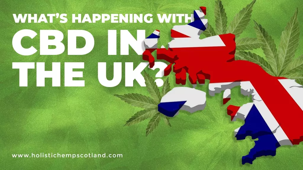 What’s Happening With CBD In The UK