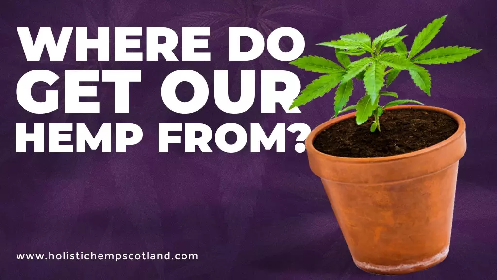Where Do We Get Our Hemp From?