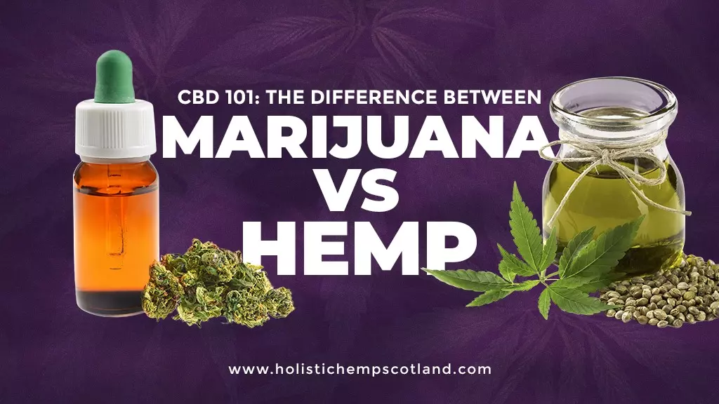 CBD 101 Difference Between Marijuana & Hemp CBD