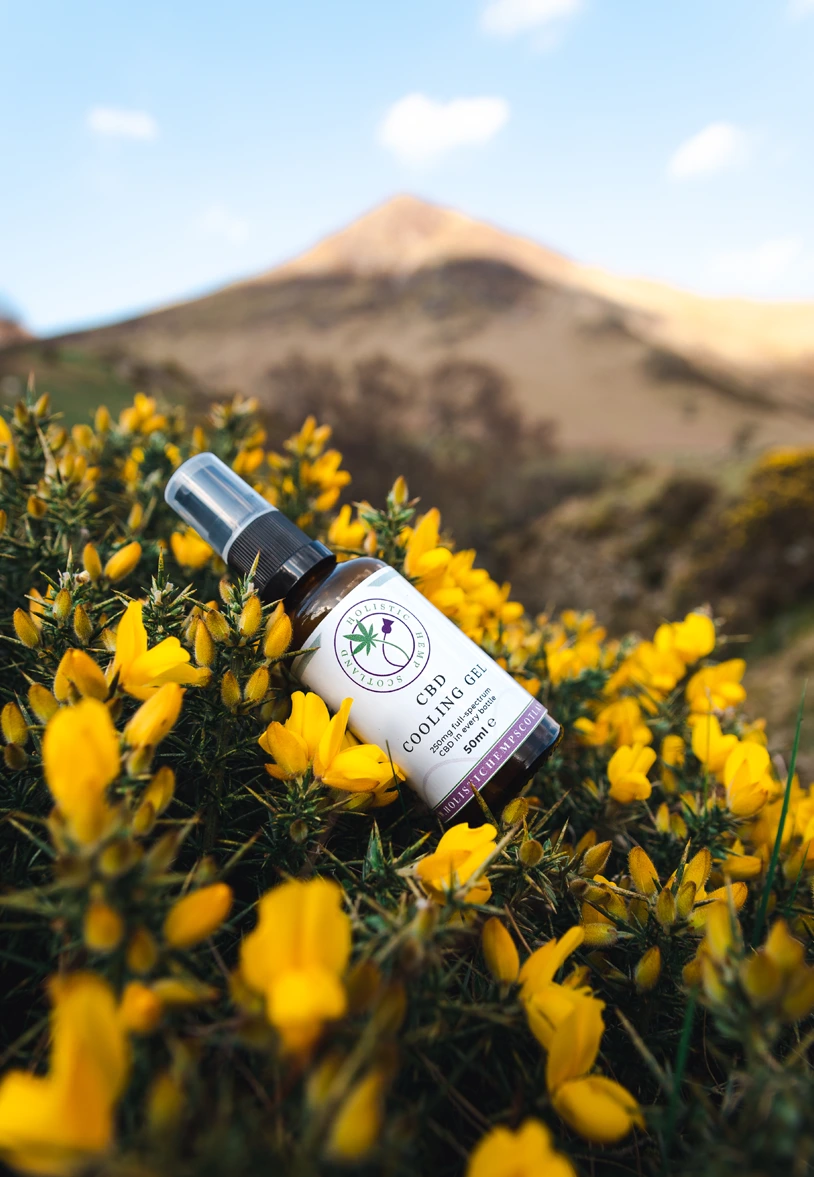 250MG CBD Cooling Muscle Gel