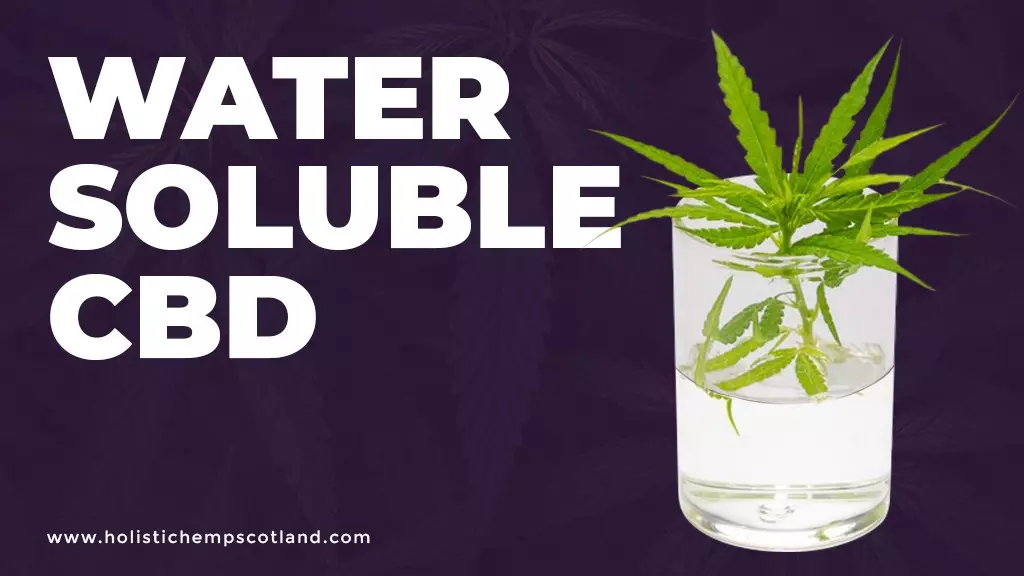 Water Soluble CBD