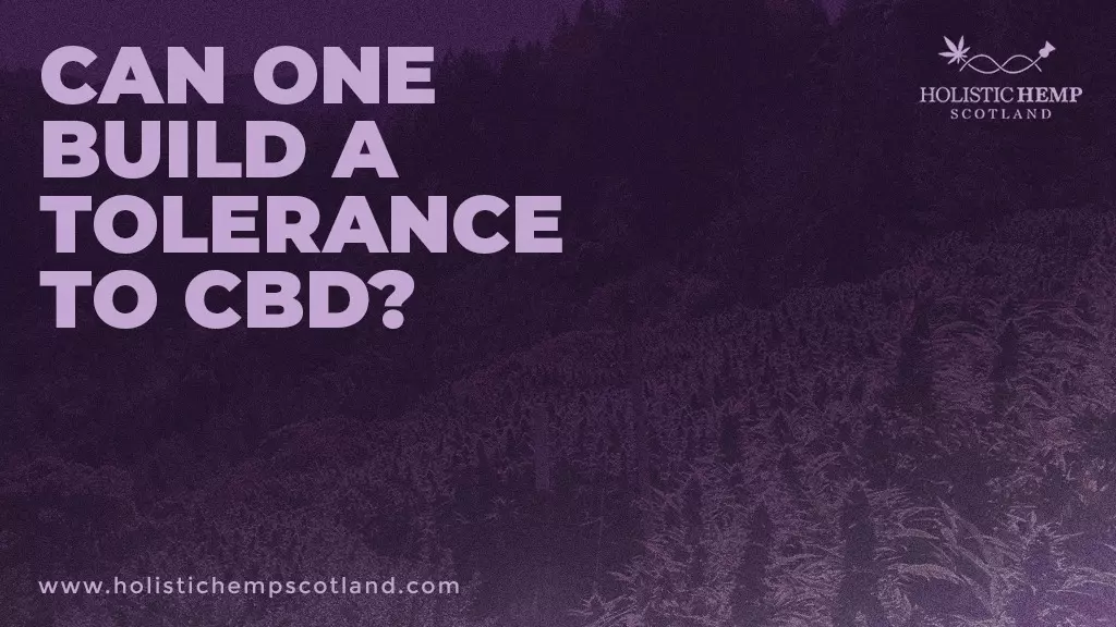 Can One Build A Tolerance To CBD?