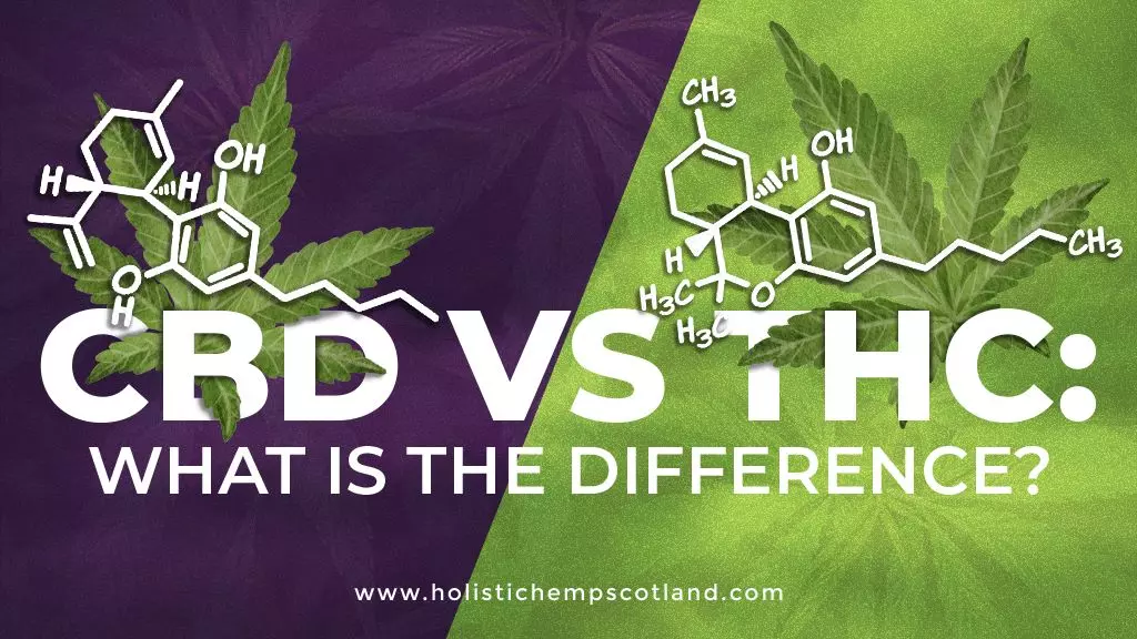 CBD Vs THC: What Is The Difference?
