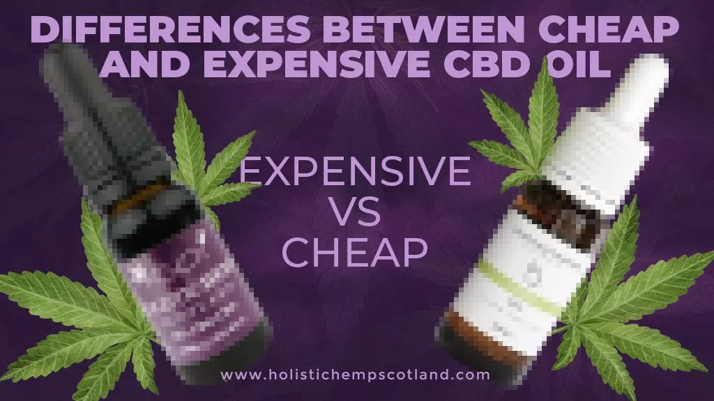 Differences Between Cheap And Expensive CBD Oil