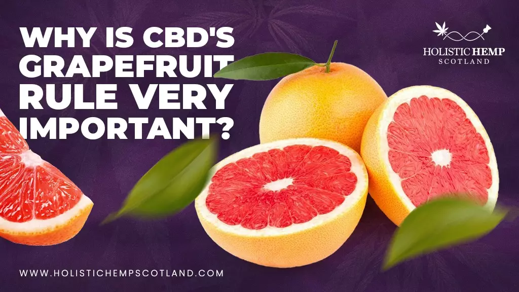 Why Is CBD's Grapefruit Rule Very Important?