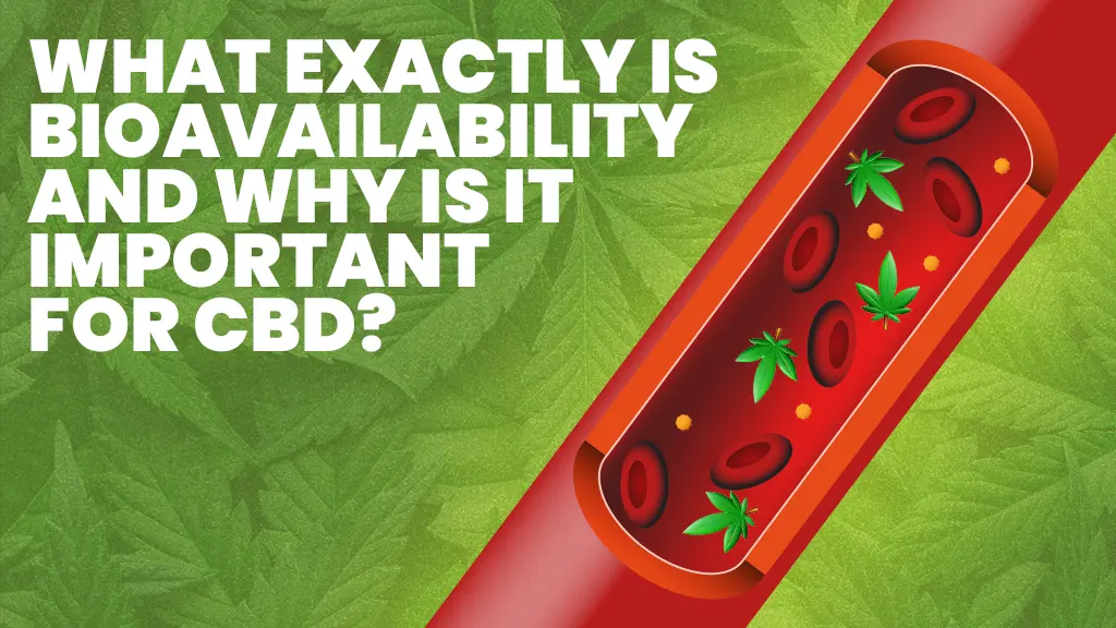 What Exactly Is Bioavailability And Why Is It Important For CBD?